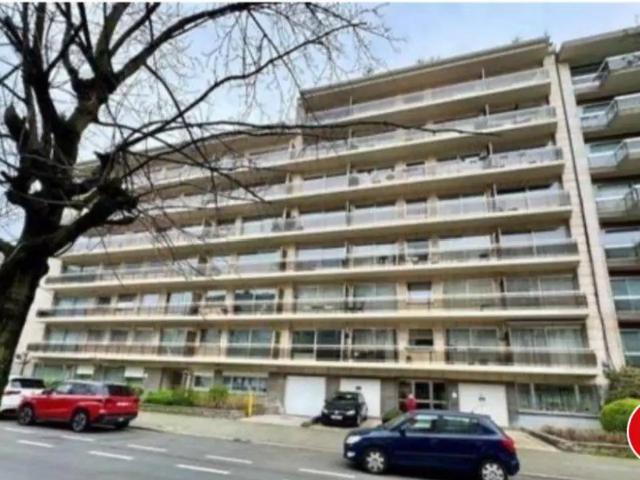 Garage vente à Molem, Bruxelles