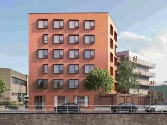 Kot vente à Anderlecht, Bruxelles