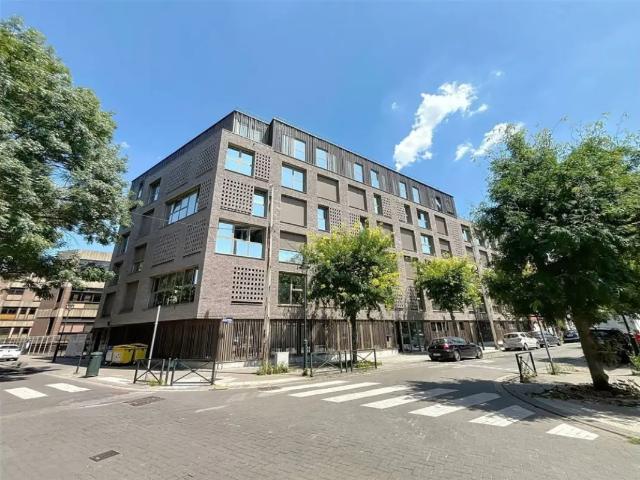 Kot vente à Anderlecht, Bruxelles