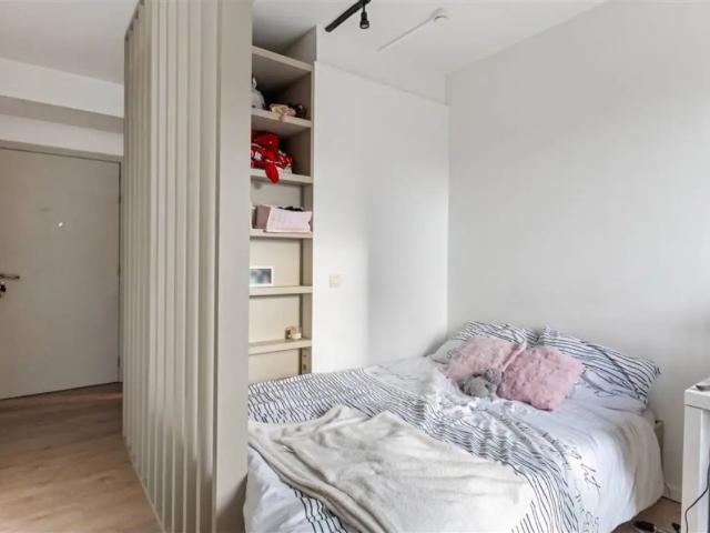 Kot vente à Antwerpen