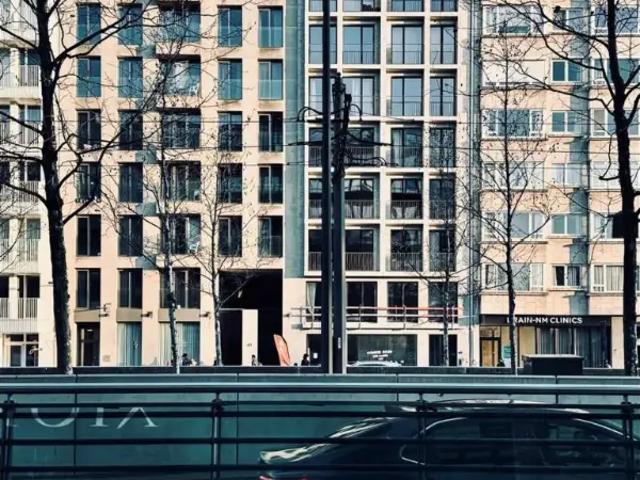 Kot vente à Antwerpen