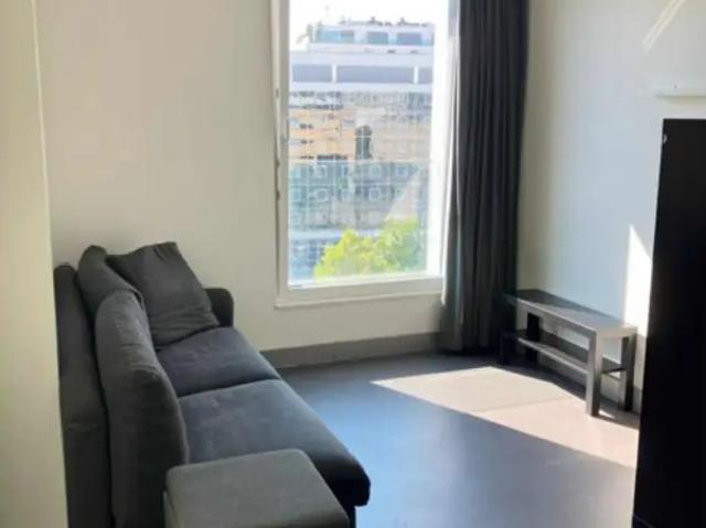 Kot vente à Antwerpen