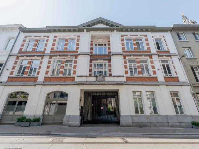 Kot vente à Antwerpen