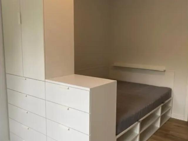 Kot vente à Antwerpen