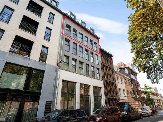 Kot vente à Universiteitsbuurt, Antwerpen