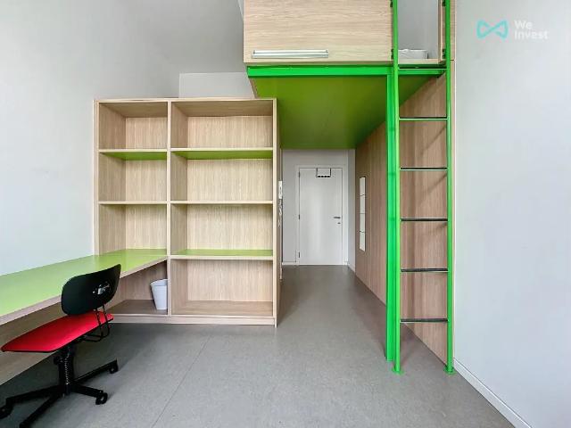 Kot vente à Antwerpen