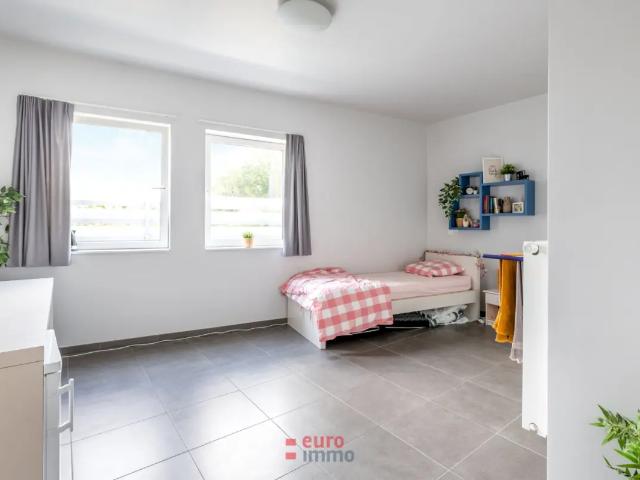 Kot vente à Brugge, West-Vlaanderen