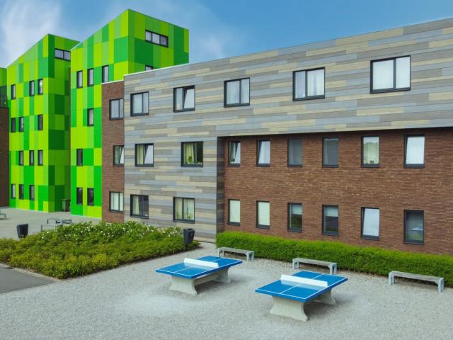 Kot vente à Brugge, West-Vlaanderen