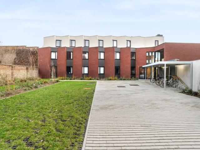 Kot vente à Courtrai, West-Vlaanderen