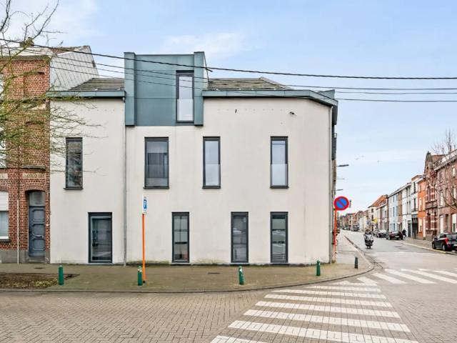 Kot vente à Courtrai, West-Vlaanderen