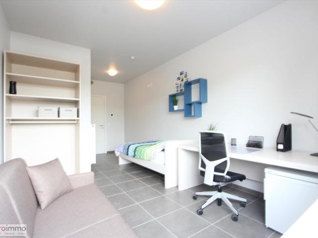 Kot vente à Brugge, West-Vlaanderen