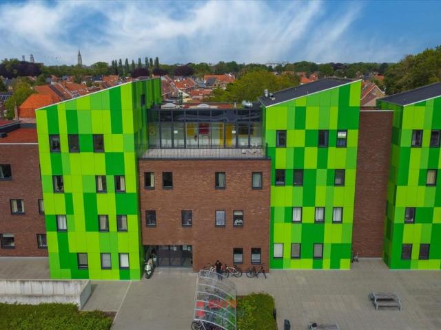 Kot vente à Brugge, West-Vlaanderen