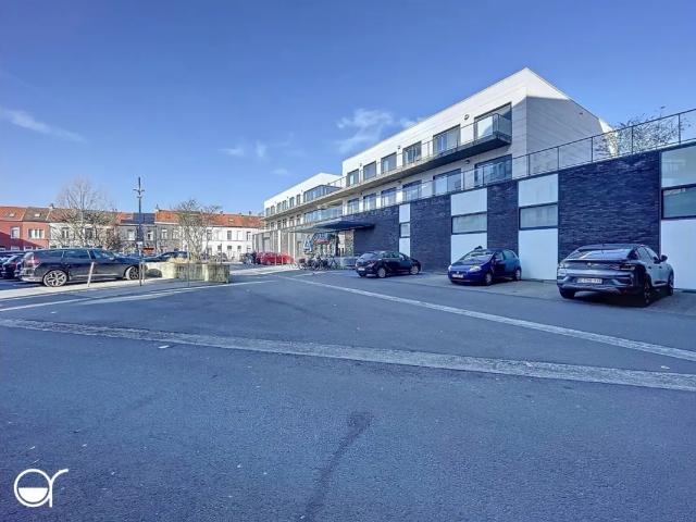 Kot vente à Desteldonk, Oost-Vlaanderen