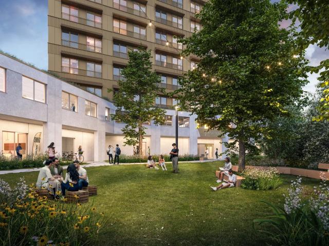 Kot vente à Desteldonk, Oost-Vlaanderen