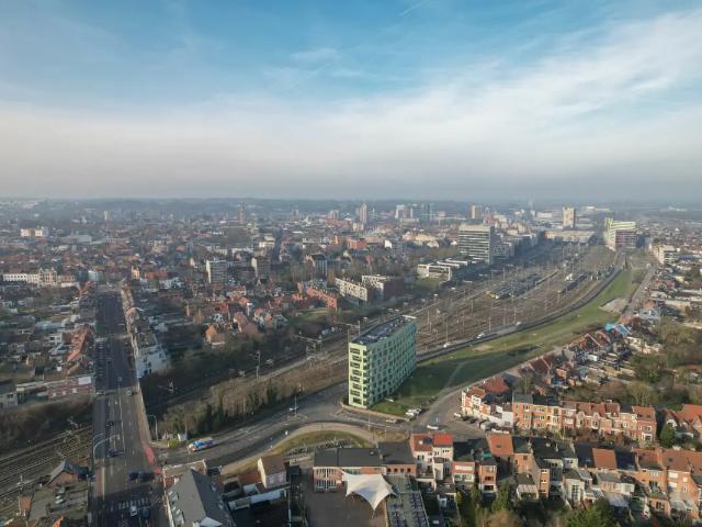 Kot vente à Lava, Brabant