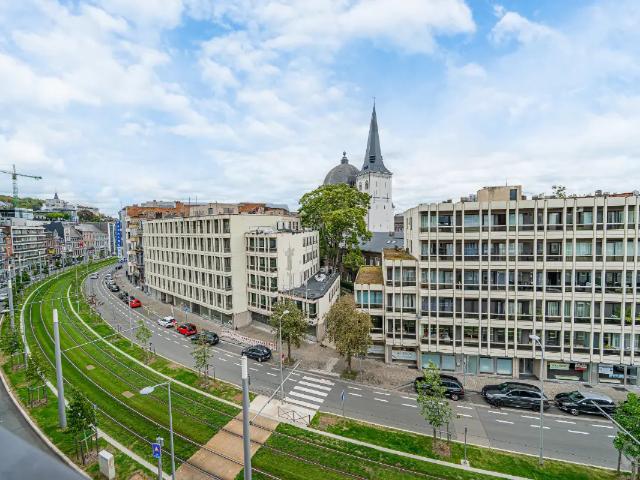 Kot vente à Liège, Wallonie