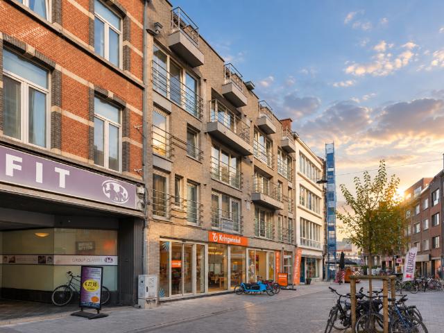 Kot vente à Lava, Brabant