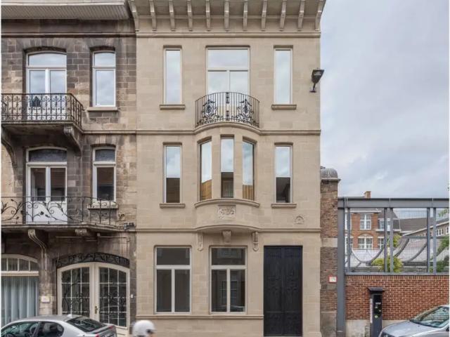 Kot vente à Lava, Brabant