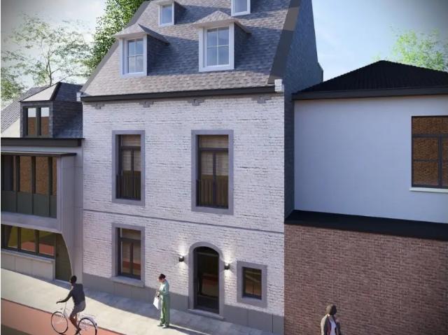Kot vente à Lava, Brabant