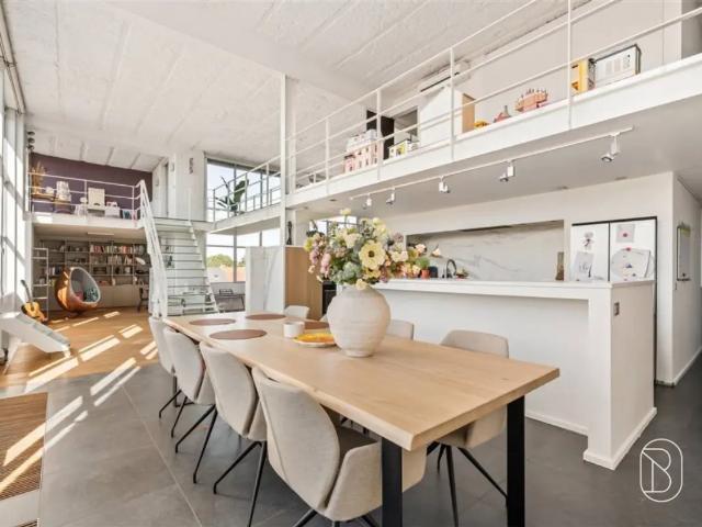 Loft vente à Audenarde, Oost-Vlaanderen