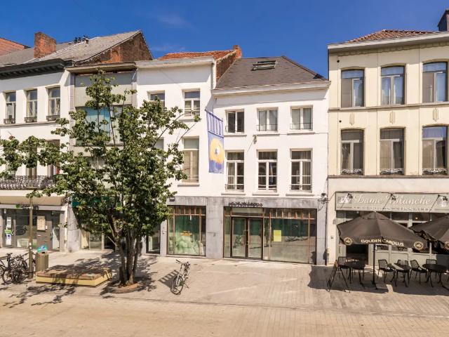 Loft vente à Mechelen