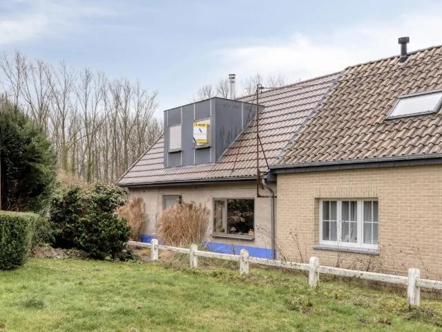 Maison vente à Affligem, Brabant