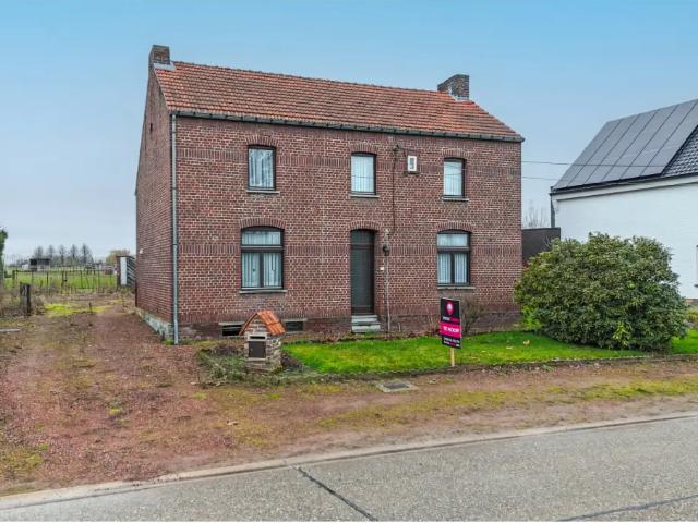 Maison vente à Alken, Limburg