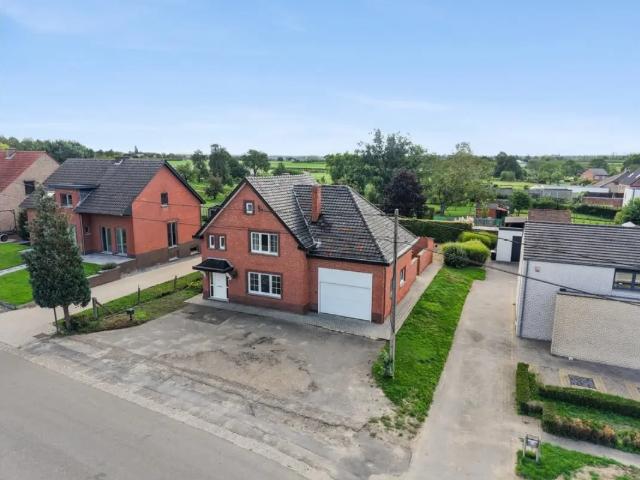 Maison vente à Alken, Limburg