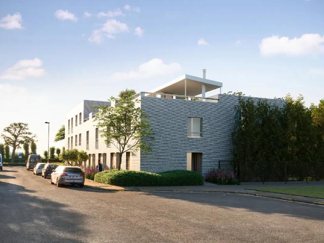 Maison vente à Antwerpen