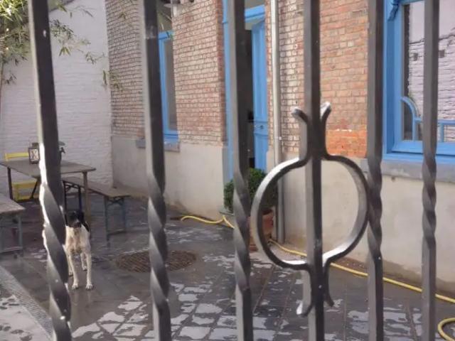 Maison vente à Antwerpen