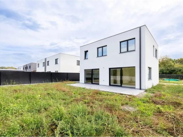 Maison vente à Averbode, Scherpenheuvel-Zichem
