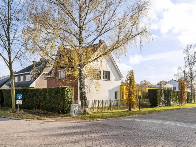 Maison vente à Beerse, Antwerpen