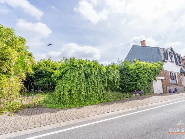 Maison vente à Beersel, Brabant
