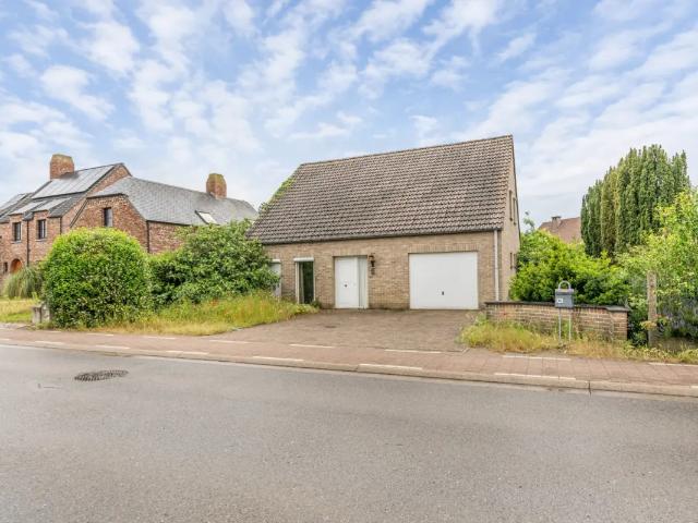 Maison vente à Begijnendijk, Brabant