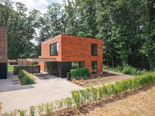 Maison vente à Begijnendijk, Brabant