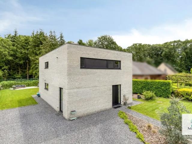 Maison vente à Begijnendijk, Brabant