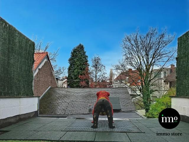 Maison vente à Berchem, Bruxelles