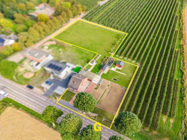 Maison vente à Neerrepen, Limburg