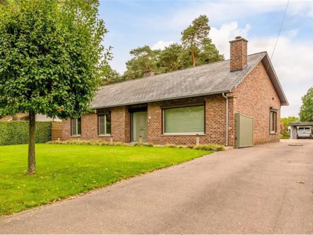 Maison vente à Beringen, Limburg