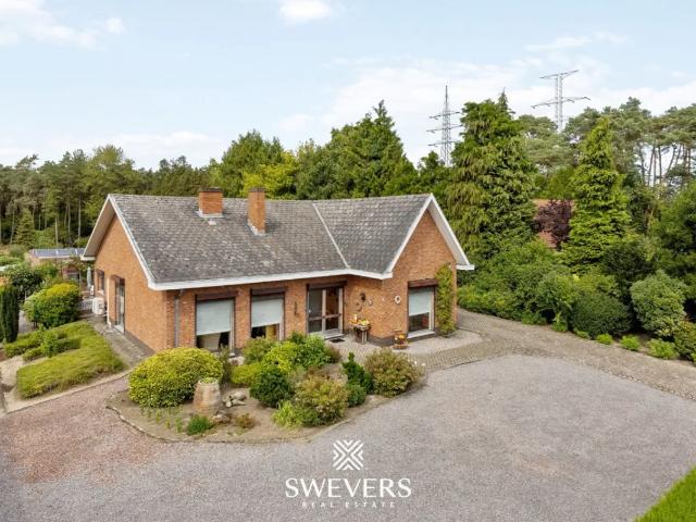 Maison vente à Beringen, Limburg