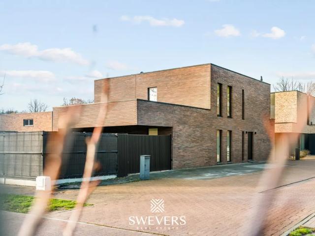 Maison vente à Beringen, Limburg