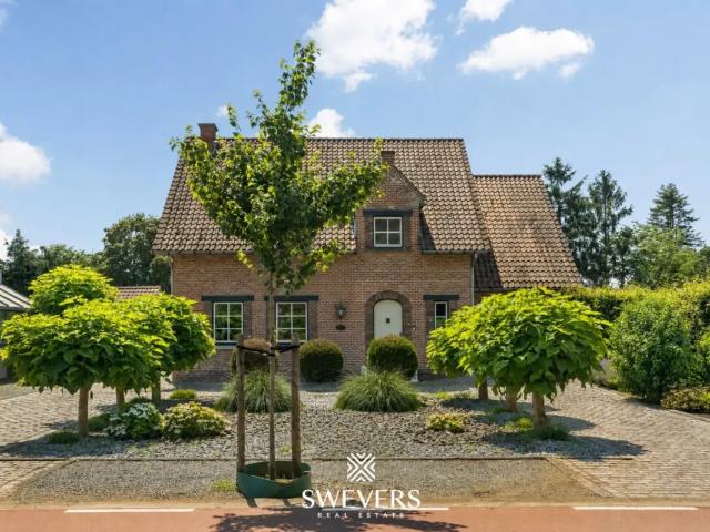 Maison vente à Beringen, Limburg