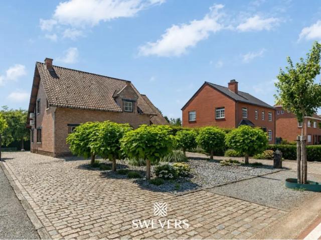 Maison vente à Beringen