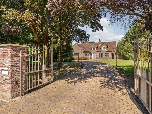 Maison vente à Beringen, Limburg
