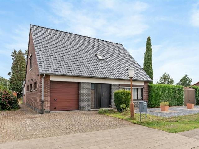 Maison vente à Beringen, Limburg