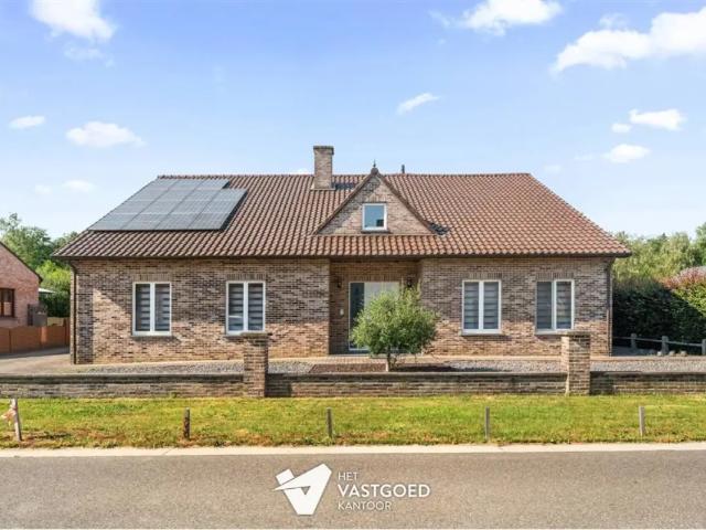 Maison vente à Beringen, Limburg