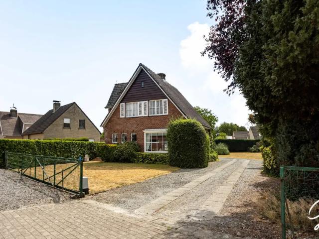 Maison vente à Berlare, Oost-Vlaanderen