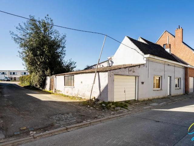 Maison vente à Berlare, Oost-Vlaanderen