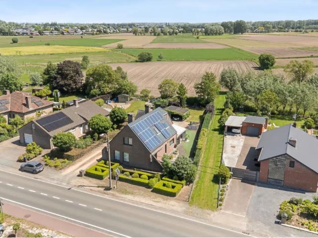 Maison vente à Berlare, Oost-Vlaanderen