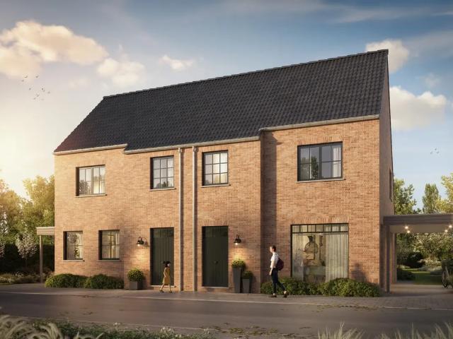 Maison vente à Berlare, Oost-Vlaanderen
